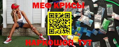 ешки Кингисепп