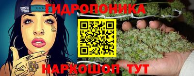 ешки Кингисепп