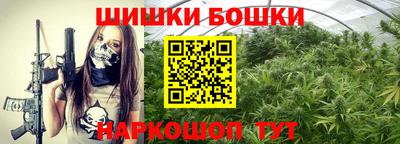 ешки Кингисепп