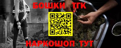 ешки Кингисепп