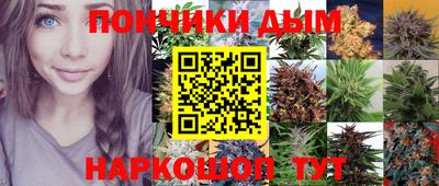 скорость Кимры