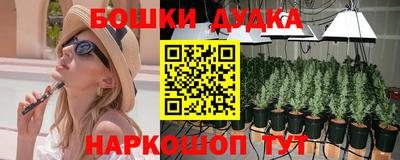 ешки Кингисепп