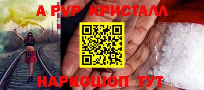 ешки Кингисепп