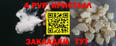 ешки Кингисепп