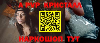 ешки Кингисепп