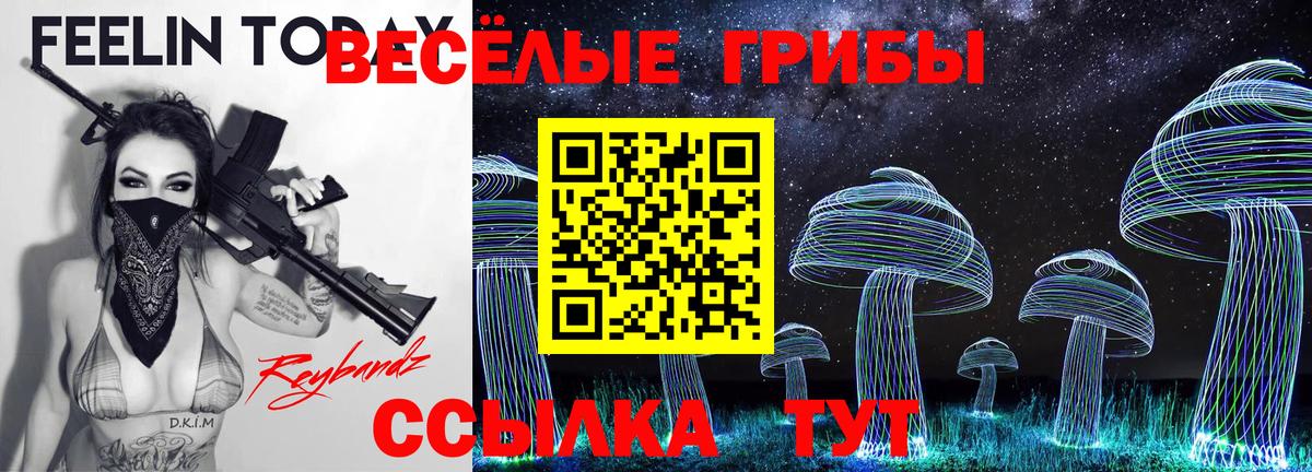Псилоцибиновые грибы MAGIC MUSHROOMS  Вход с VPN  Кирово-Чепецк 