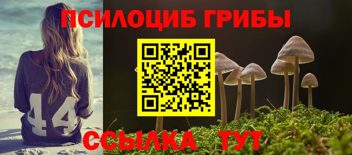 Псилоцибиновые грибы Magic Shrooms Кирово-Чепецк